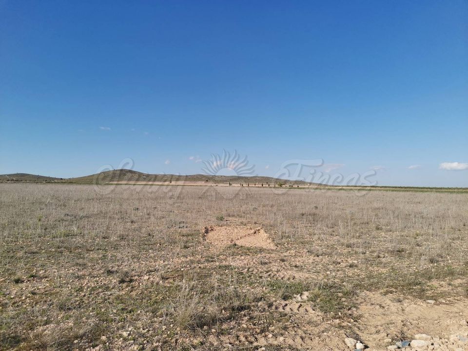Helårsgrund i Yecla, Murcia - foto 1